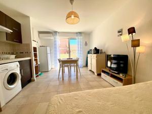 Appartements Studio Coquet a Meze : Climatise, Pres du Parc, Terrasse, Proche Plage et Port - FR-1-604-51 : photos des chambres