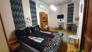 Ágnes Vendégházak Siófok-apartman 2