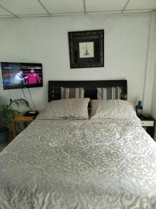 Suite Reforma Ahuehuete