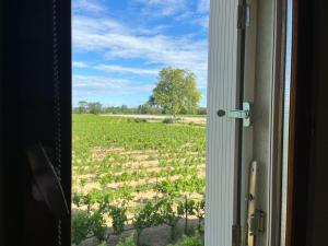 Maisons de vacances Gite le Pressoir : photos des chambres