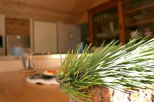 Appartement le Dahu Risoul 1850