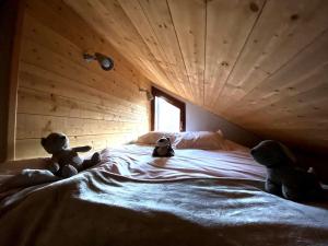 Appartements Appartement le Dahu Risoul 1850 : photos des chambres