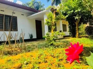 Streamside Sanctuary - Home Stay - Talatuoya