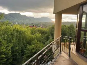 Pensiunea Ego - Sohodol