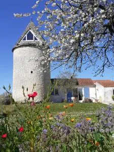 Dormir dans un moulin à vent - Saint-Jean-dʼAngle