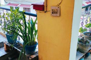 Dehradun Gem Close toSights