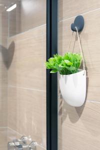 Appartements MyAppart71 - La prefecture - Appartement en Coeur de Ville : photos des chambres