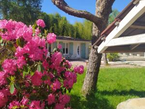 Maisons de vacances Le Clos Bussy : photos des chambres