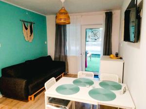 Róża Wiatrów Leśny Klif