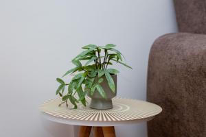 Elegant Escape Podgorica