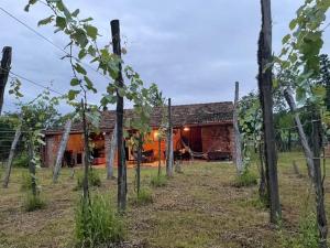 MartvElle Boutique Guesthouse