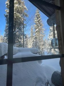 Lapland Log Chalet Cabin Ukko-Kelo Luosto