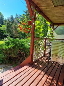 Nameliai Šventojoje 1