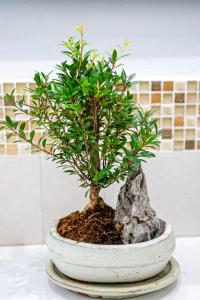 Gli Ezi BnB: Casa Kappa