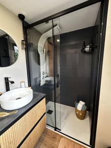 Larbre de soie Futuroscope Acacia