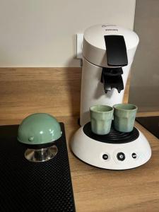 Larbre de soie Futuroscope Acacia