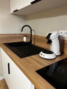 Larbre de soie Futuroscope Acacia