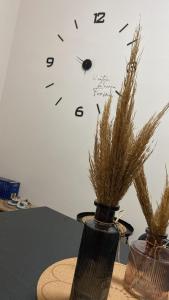 U catoju da nonna Fonina