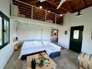 Gozzadini Vineyard! - Órion