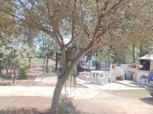 Casa vacanze Berchida img11