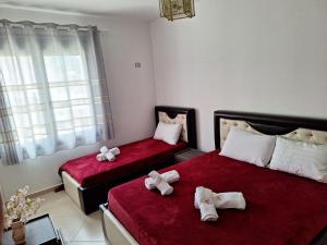 Vacanze Pushime Albania