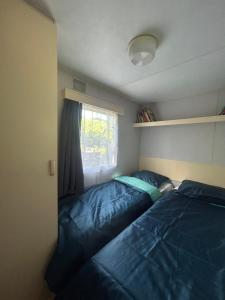 Cabanon dans le jardin