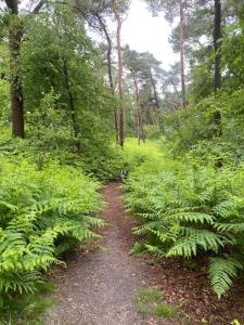 Holiday home Giethmen