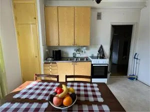 Inari rental - 伊纳利