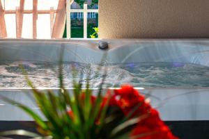 Apartments Anita Frane