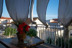 Apartments Anita Frane