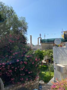 Medusa House Butik Hotel