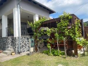 Greenapple Apartman Badacsony