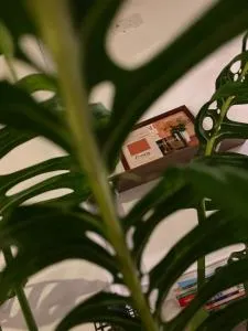 Homs Female Hostel - Yan