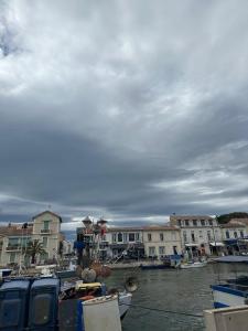 Pieds dans l eau en Camargue