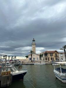 Pieds dans l eau en Camargue