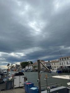 Pieds dans l eau en Camargue