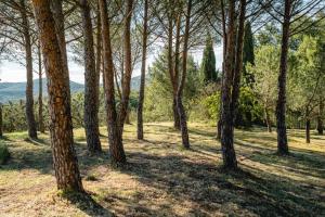 Maisons d'hotes Gites au pied des Cevennes - Domaine Les Terres Aoyama : photos des chambres