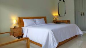 Aleenka Guest House