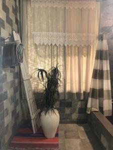 Lush Green Retreat Private Pool & Garden Villa, Jaipur