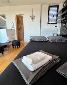 Apartmán se saunou a terasou s výhledem na Brno