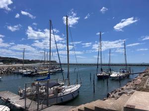 Votre Pied-à-Terre en Bord de Mer