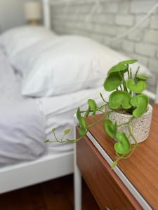 Cozy Suite with Acropolis View