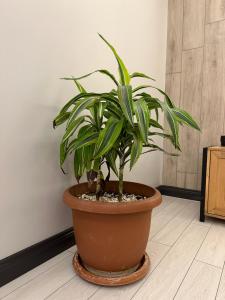 Sabiha Gökçen Airport & Metro