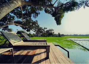 BREATHE - Rice Valley