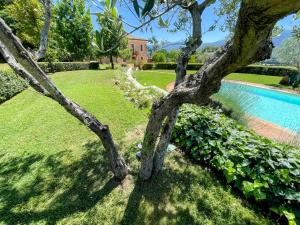 Spoleto Tranquilita sleeps 20 with Wifi Pool Yoga Studio Gardens and Views
