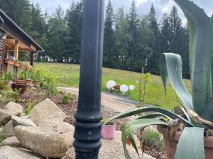 Chybotek Premium Domek Danusia