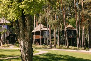 LVM dabas parka glempings