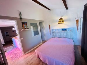 CosyT2, procheplage-coline-pieds