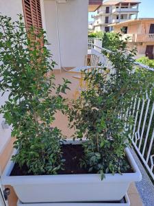 maraneri rooms