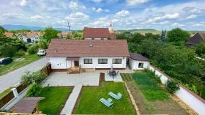 The River Nest - Cristian